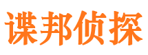 广东侦探调查公司